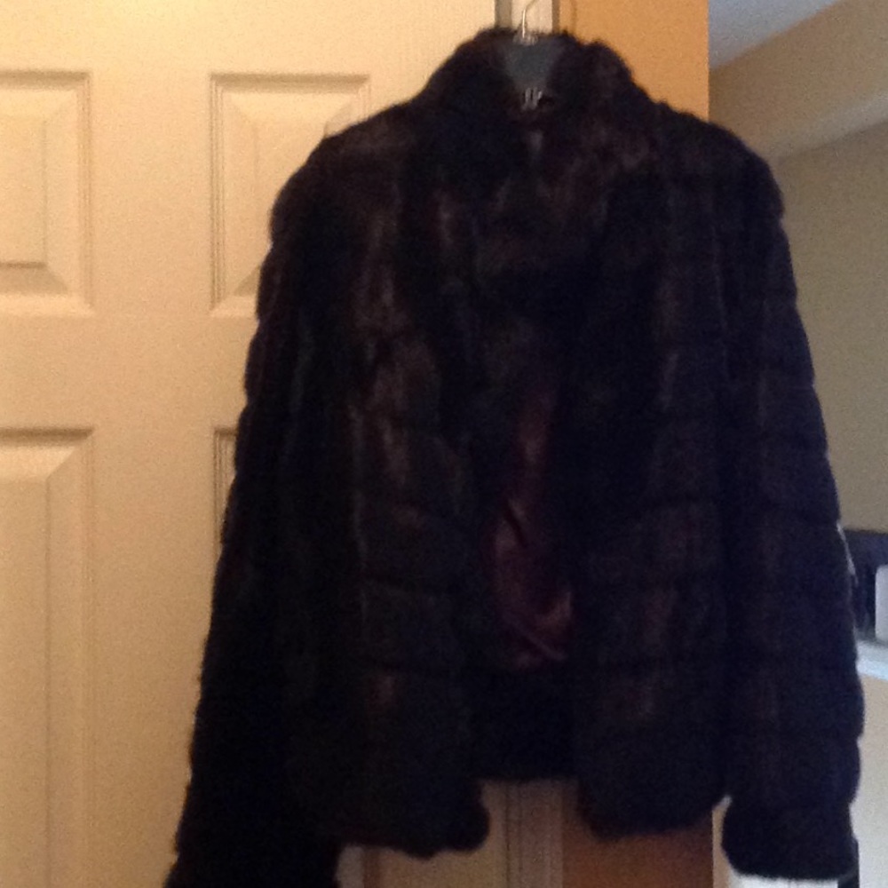 Jacket - Picture 2 of 5